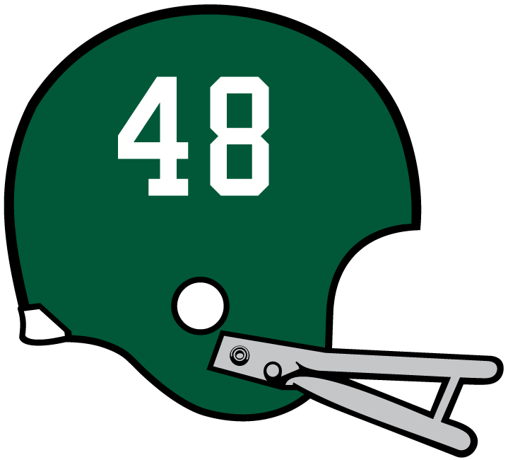 Miami Hurricanes 1971 Helmet Logo diy iron on heat transfer